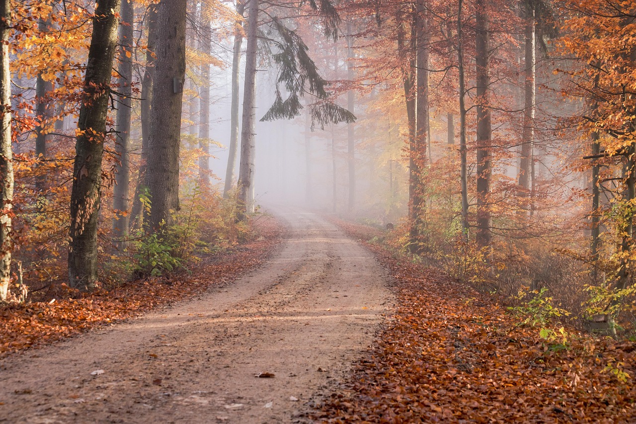 cool hiking trail near me