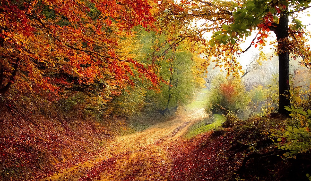 nature trails in South India